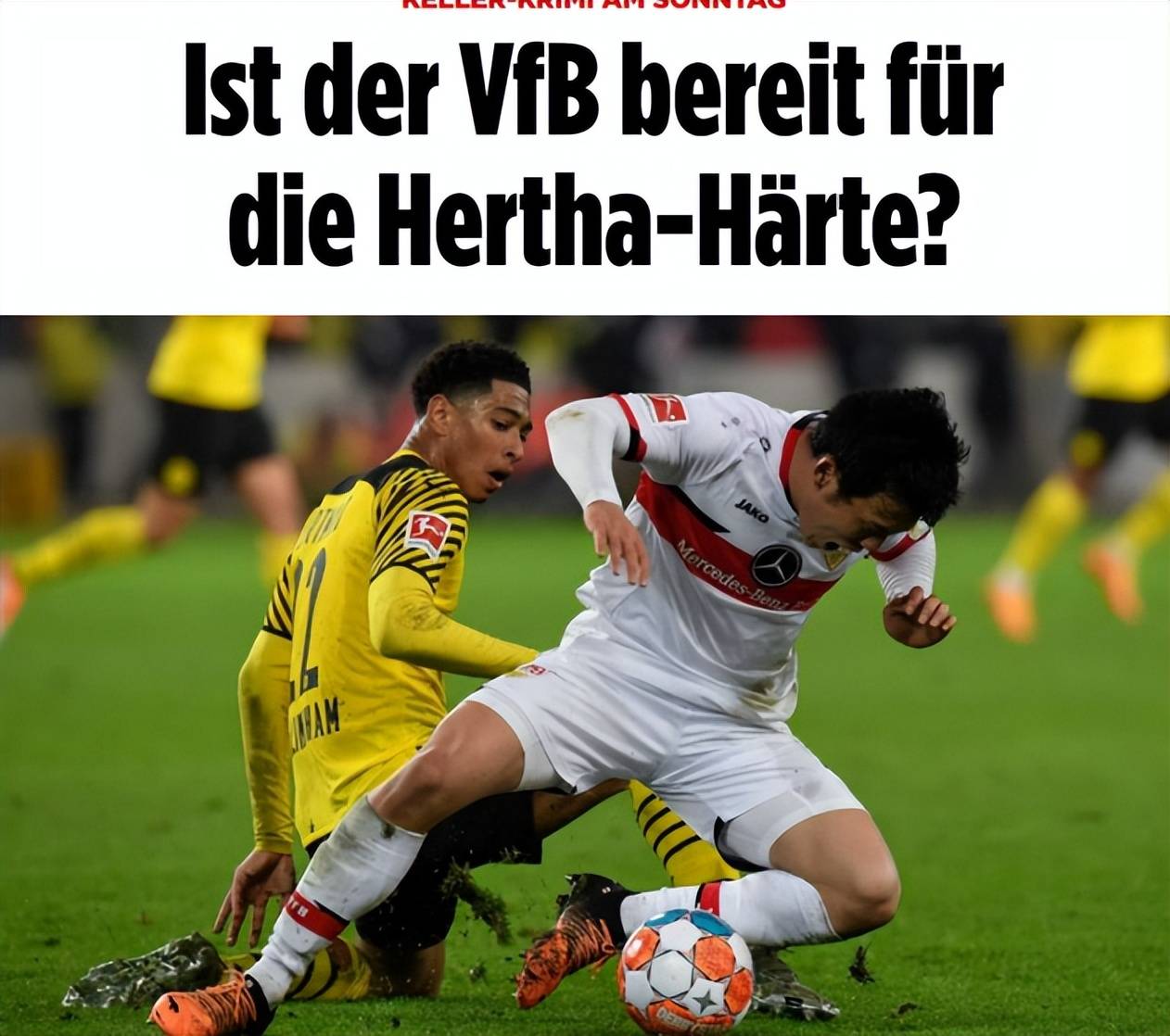 内外的广泛
